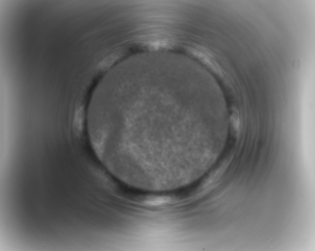 X0000088700458200706211947