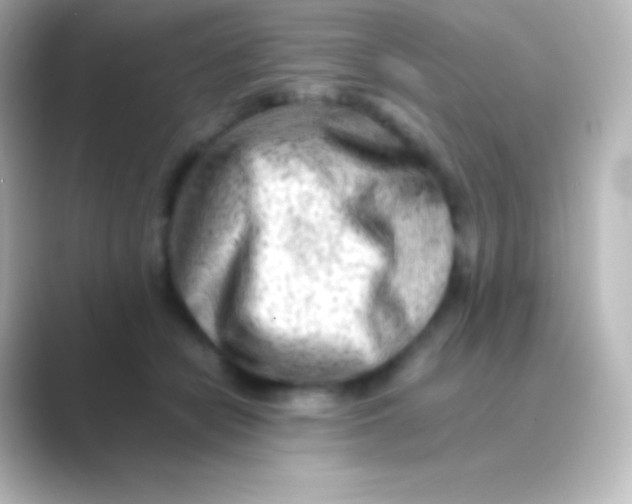 X0000088700462200706211947