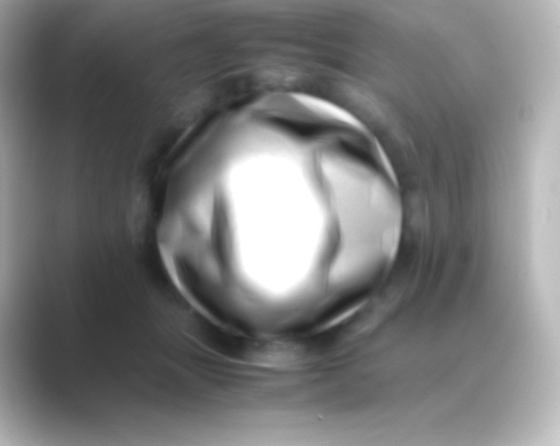 X0000088700463200706211948