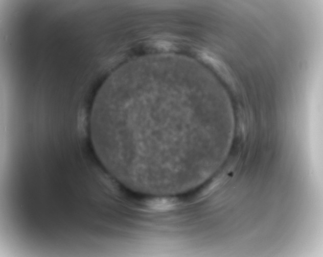 X0000088700465200706211948