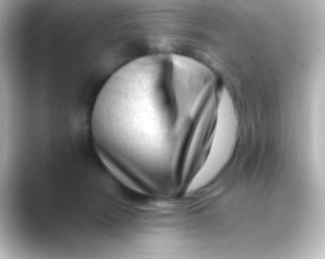 X0000088700466200706211948