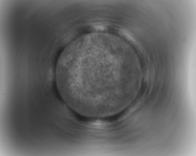 X0000088700467200706211948