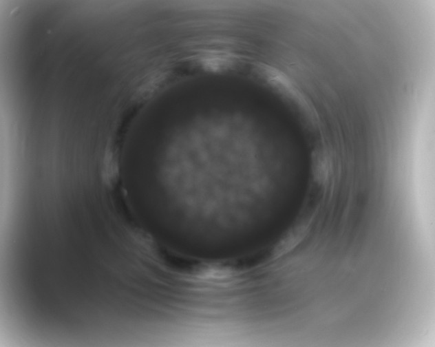 X0000088700471200706211948