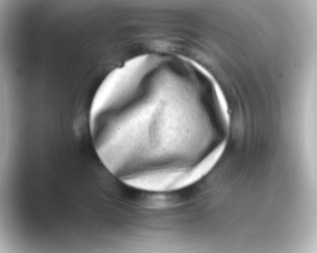 X0000088700473200706211948