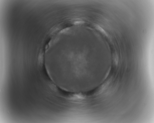 X0000088700475200706211948