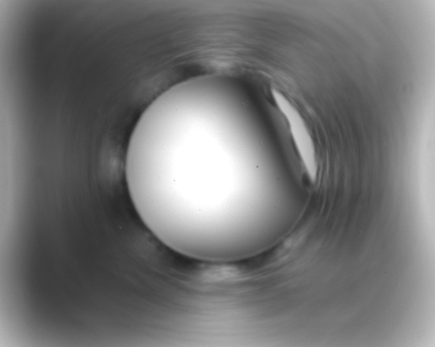 X0000088700476200706211948