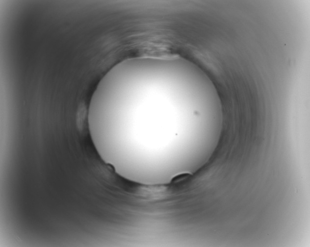 X0000088700480200706211948