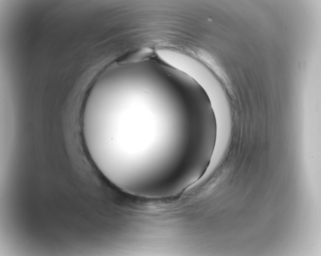 X0000088700481200706211947