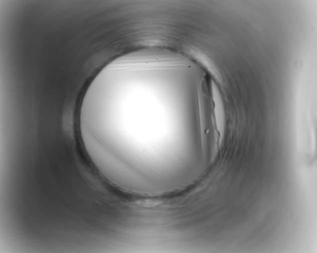 X0000088700482200706211947