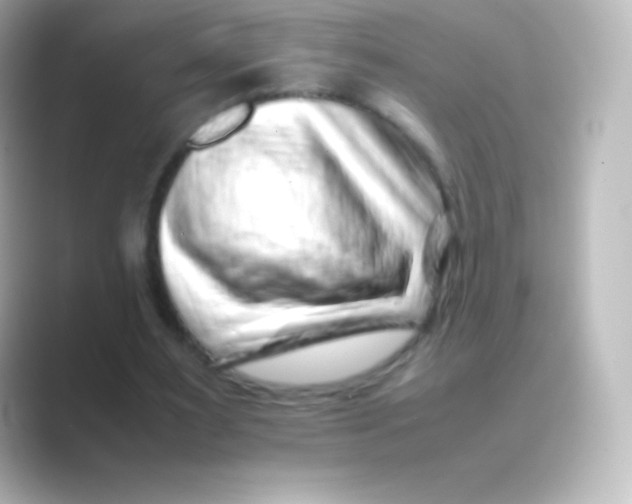 X0000088700483200706211947