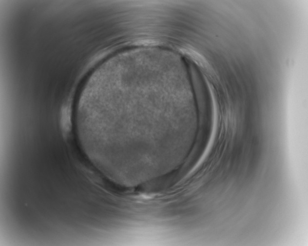 X0000088700484200706211947