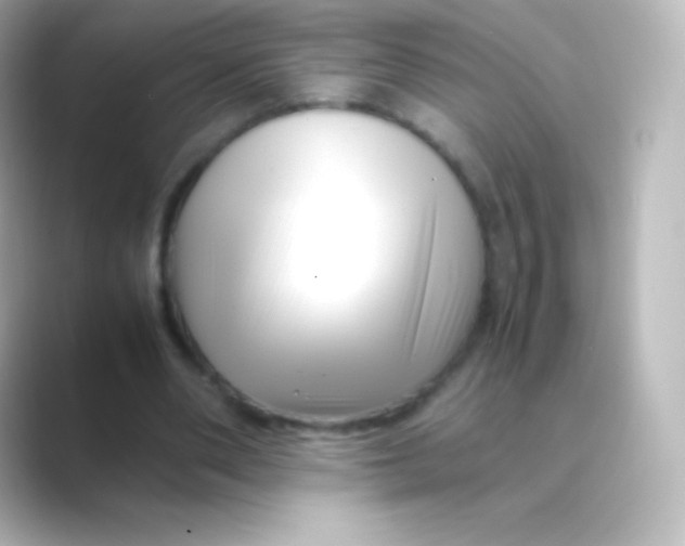 X0000088700486200706211947