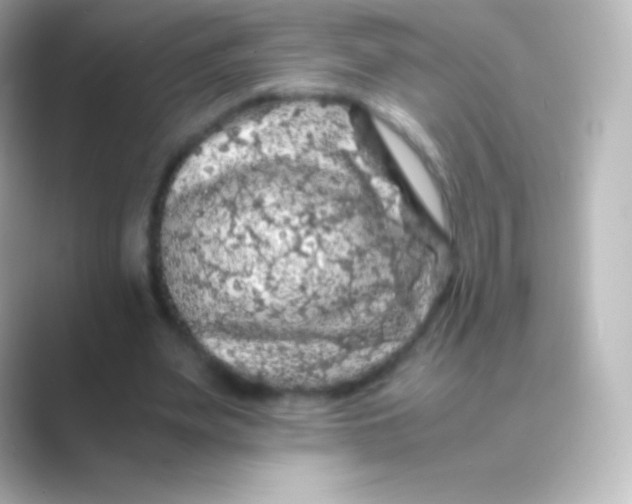 X0000088700487200706211947