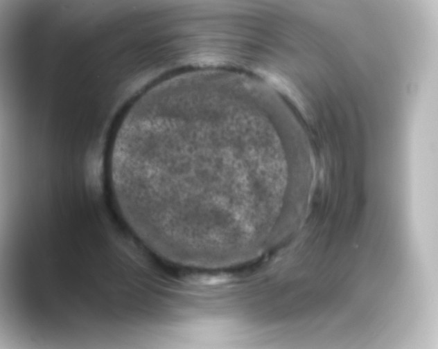 X0000088700488200706211947