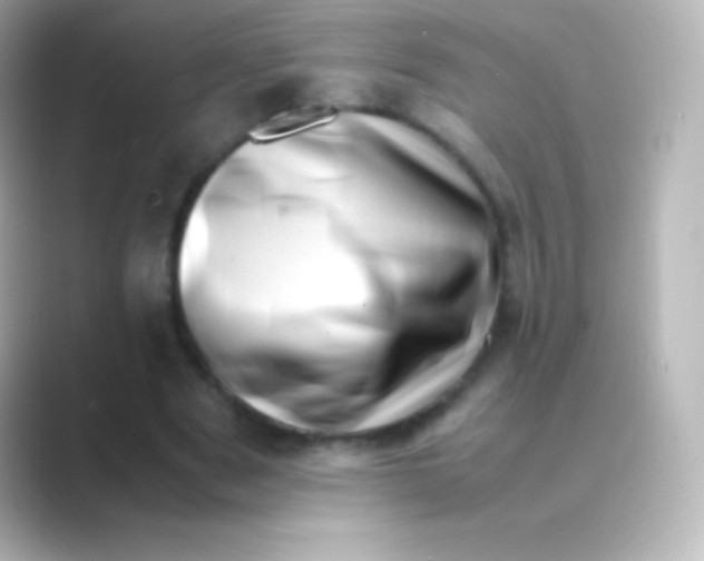 X0000088700489200706211947