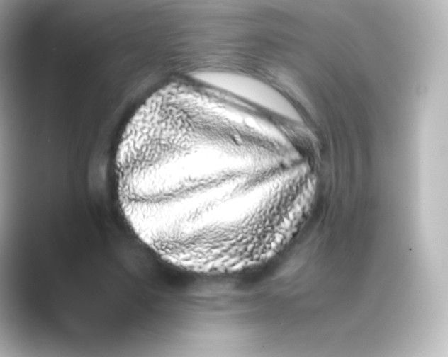 X0000088700491200706211947