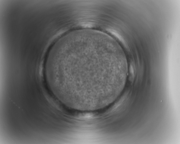 X0000088700492200706211947