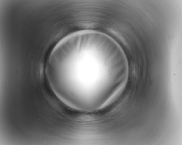 X0000088700494200706211947