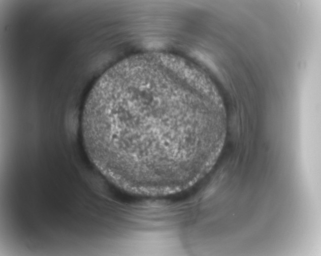 X0000088700495200706211947