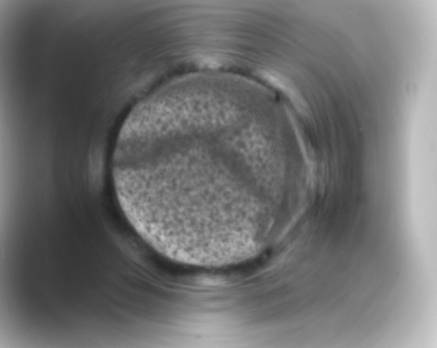 X0000088700496200706211947