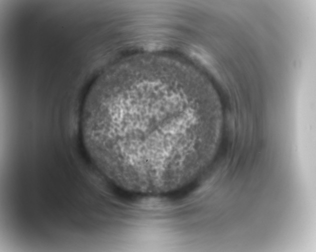 X0000088700499200706211947