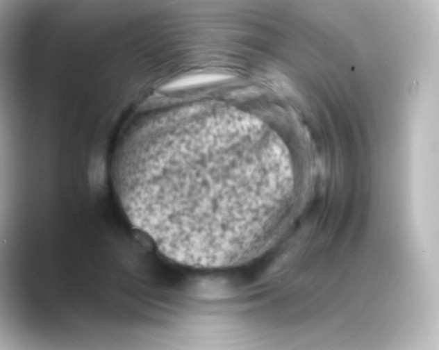 X0000088700500200706211947