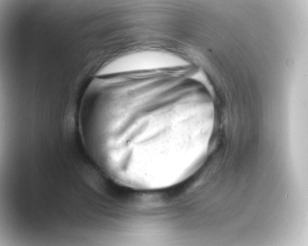 X0000088700501200706211947