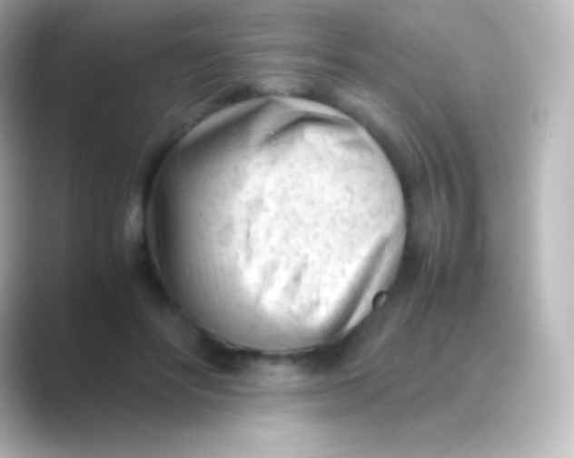 X0000088700502200706211947