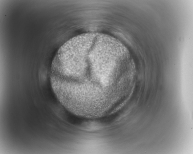 X0000088700503200706211947