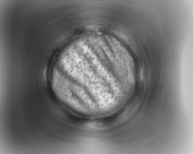 X0000088700504200706211947