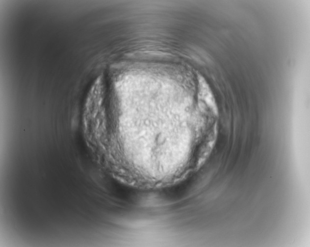 X0000088700507200706211947