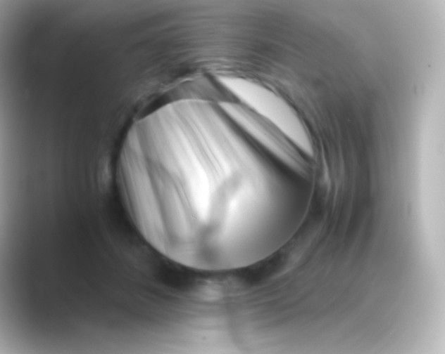 X0000088700508200706211947