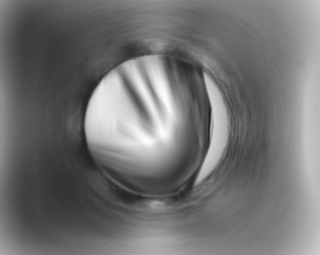 X0000088700509200706211947