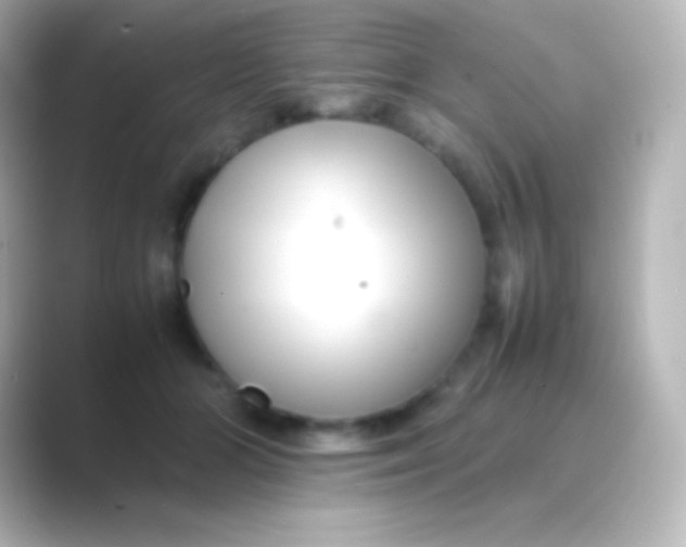 X0000088700510200706211947