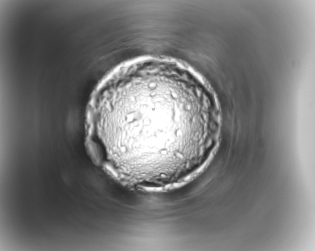 X0000088700511200706211947