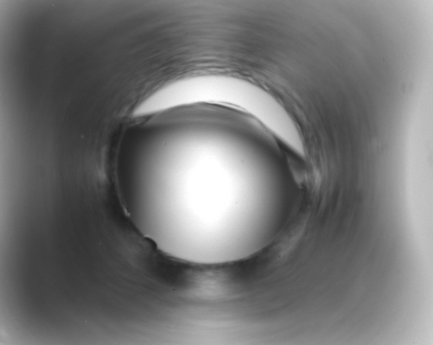 X0000088700512200706211947