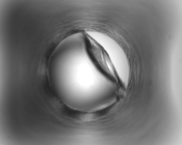 X0000088700513200706211947