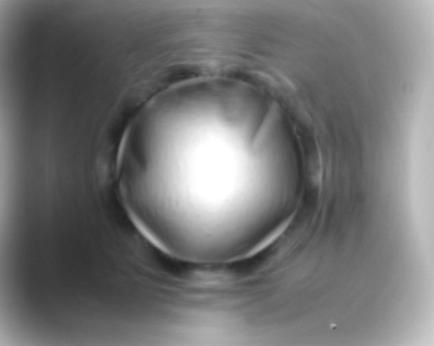 X0000088700515200706211947