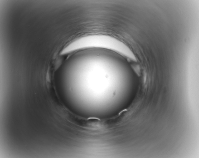 X0000088700516200706211947