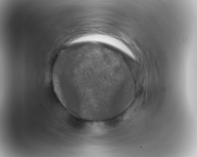 X0000088700517200706211947