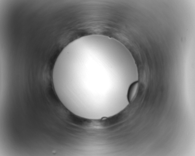 X0000088700518200706211947