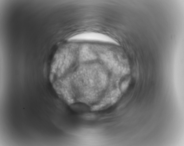 X0000088700519200706211947