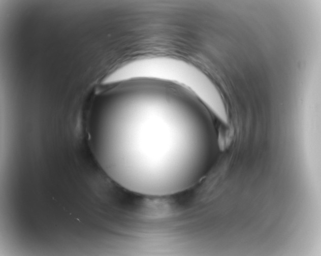 X0000088700520200706211947