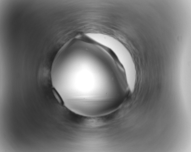 X0000088700521200706211947