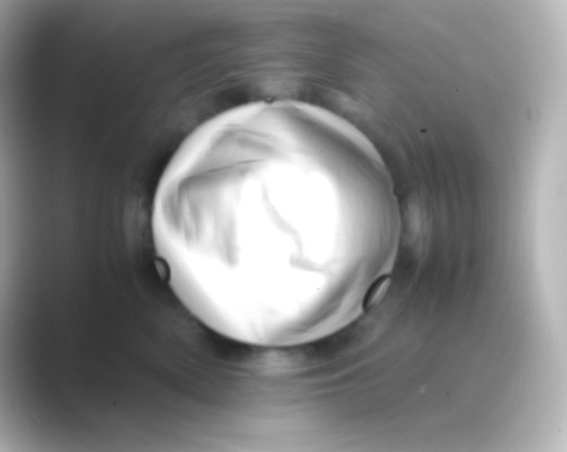 X0000088700522200706211947