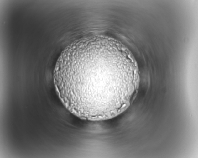 X0000088700523200706211947