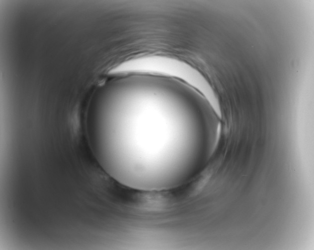 X0000088700524200706211947