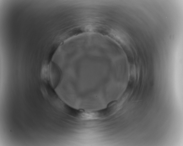 X0000088700526200706211947