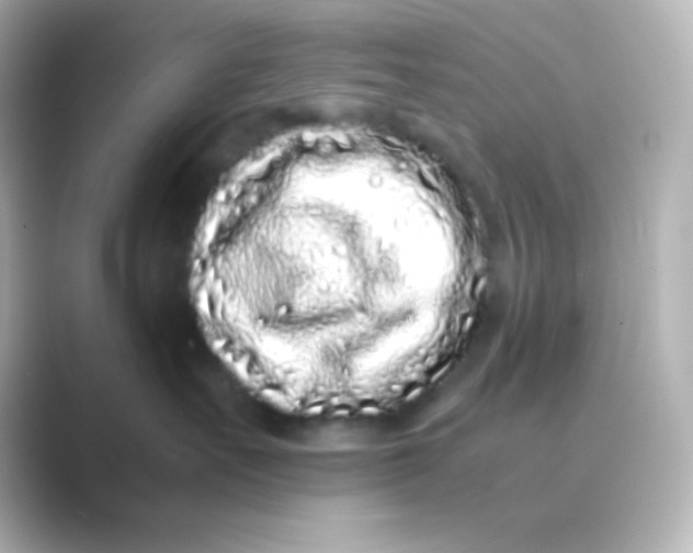 X0000088700527200706211947