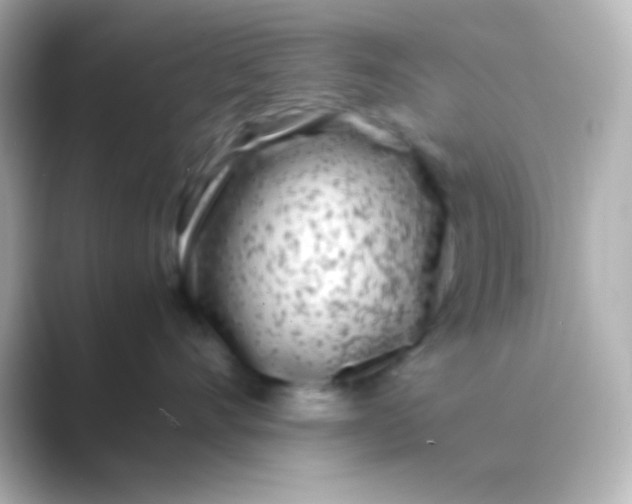 X0000088700528200706211947